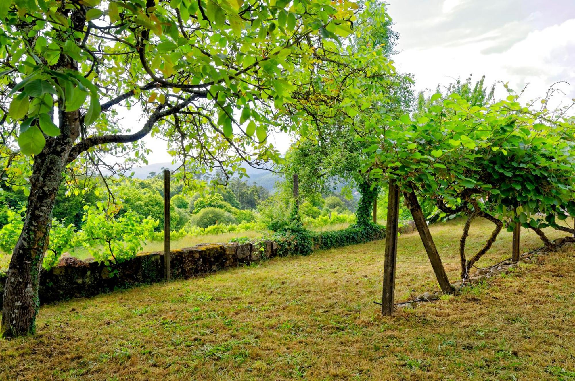 Zen Vouga Βίλα Ribeiradio Εξωτερικό φωτογραφία